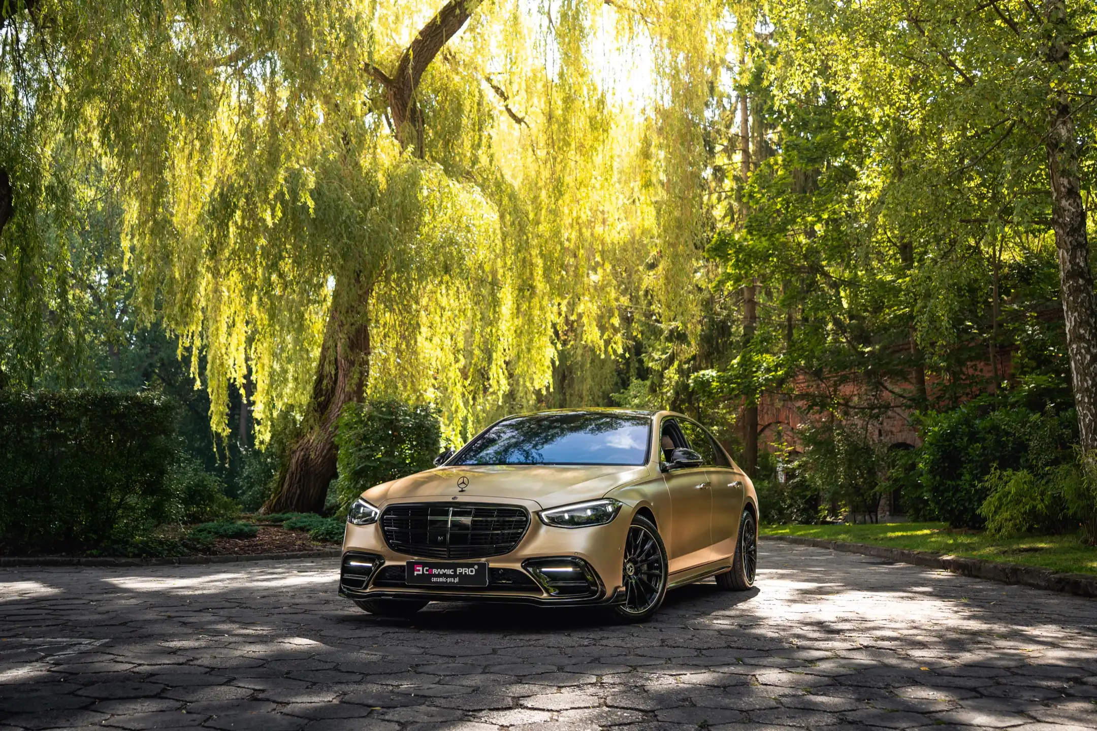 Mercedes S580 złoty pod wierzbą